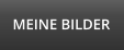 MEINE BILDER